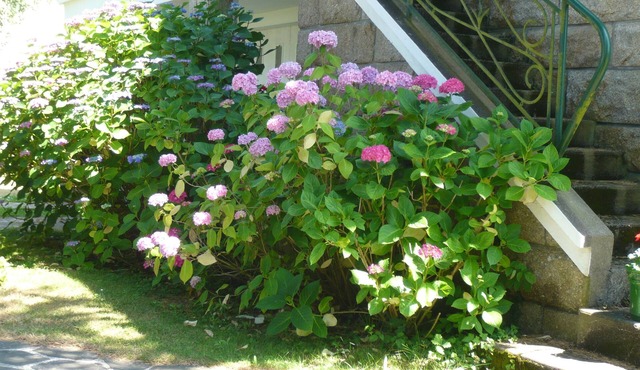 Les Hortensias, 3 bedrooms. Large garden, enclosed parking. Near Carnac, Lorient.