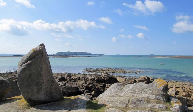 Les Hortensias by Interhome