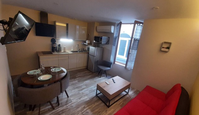 Les IRIS APT 105, T2 COSY, 30 m2, 1 bedroom with TV