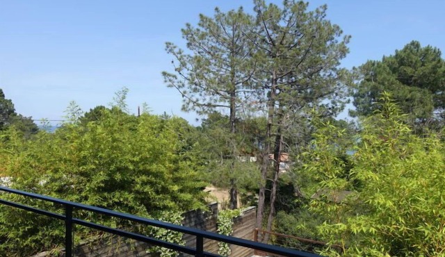 Les Jardins d'Ève, F3 by Interhome