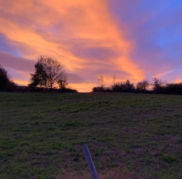 les jardins de caribole