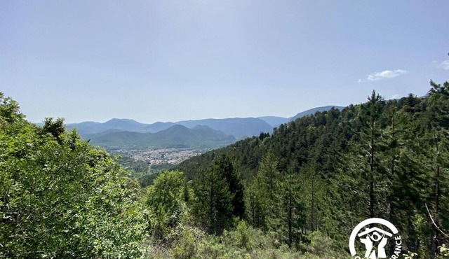 Les Jardins du Plateau