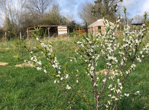 Les Jardins Vert Framboise yourte et chambres d'hôtes