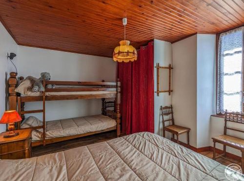 Les jonquilles et les narcisses