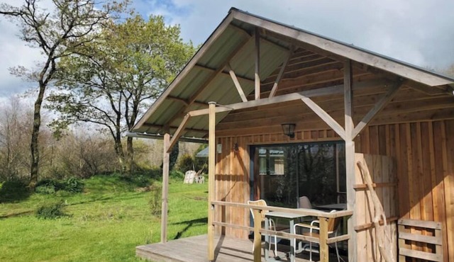 Les KaBanes en Kreiz Breizh-Merle moqueur