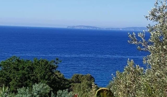 Les Lauriers Roses 2