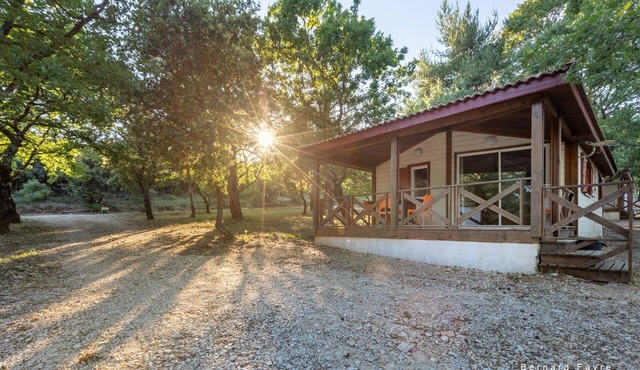 "Les Lavandes" chalet overlooking lavender and mont ventoux