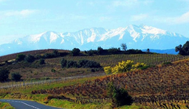 Les Lavandières, village house in the heart of Cathar country