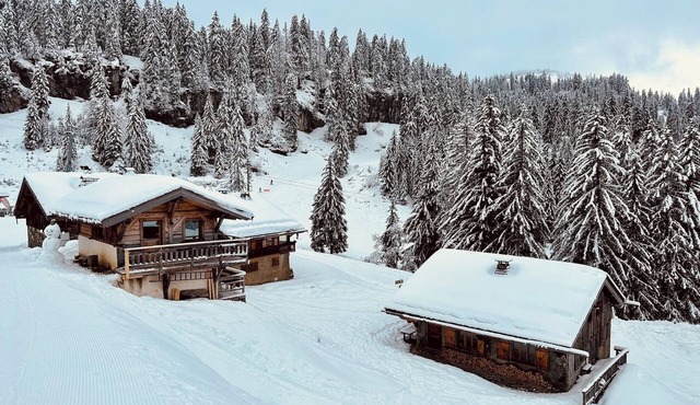 Les Lindarets , Montriond