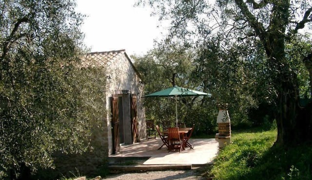 Les Lys - BERRE LES ALPES