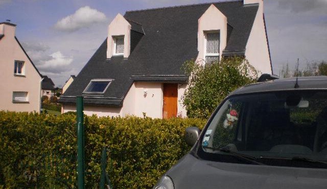 les Mésanges bleues