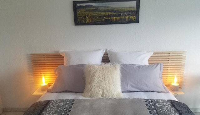 Les mésanges de l'Ill