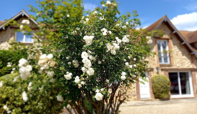 Les Maisons du Théâtre Romain - 4 Gîtes - 10 Chambres