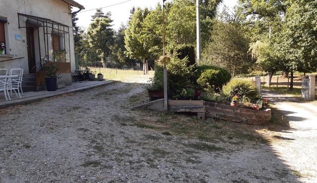 Les Marguerites Aux Lotz