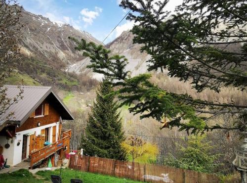 Les marmottes d Estenc