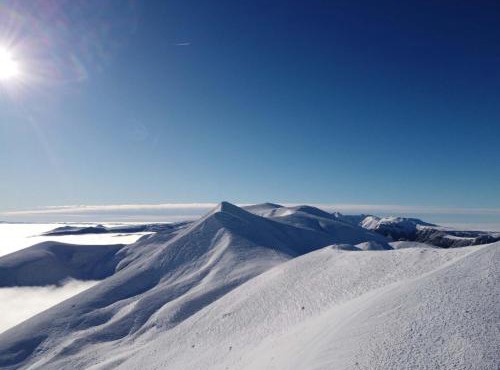 Les Marmottes de Murol