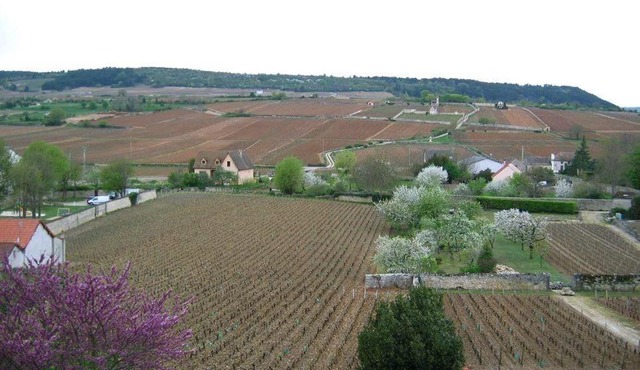 Les Meix sous le Château