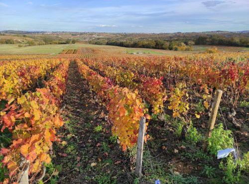Les Meublés des Pierres Dorées - Gite de charme pour groupe