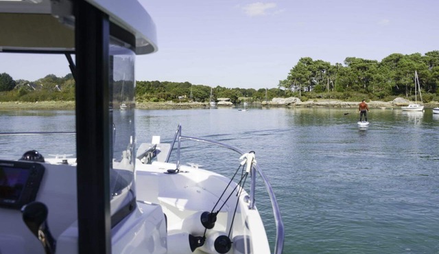 Les mimosas - MELGVEN