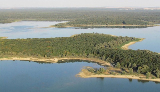 Les Moineaux La Ferme des Tourterelles