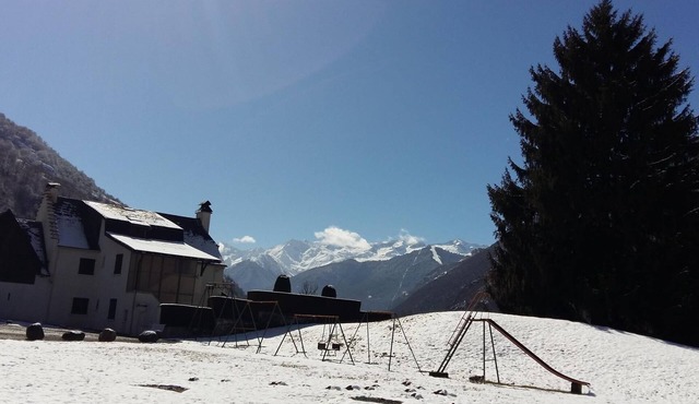 Les Narcisses - Cier-de-Luchon
