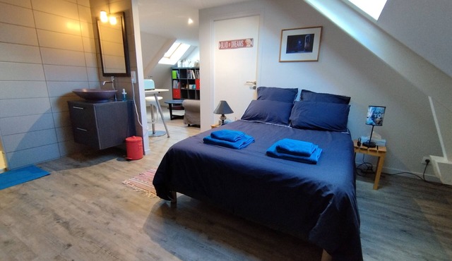 Les nichoirs - 60m² room in Vouvray - bathroom and separate toilet