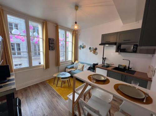 Les Nids De Laon Le Canari