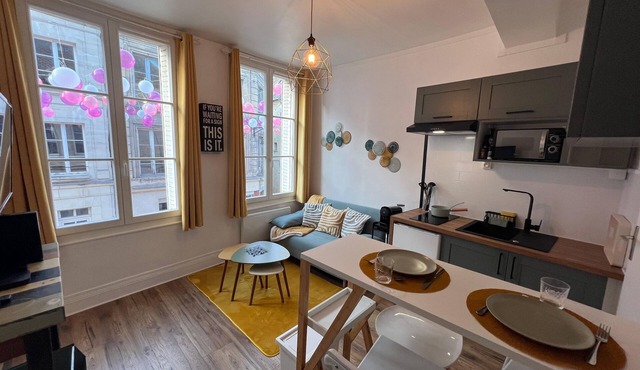 Les nids de Laon Le canari Completely renovated apartment in the center of town