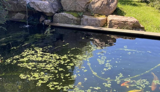 Les nuits insolites de la mothe tiny house