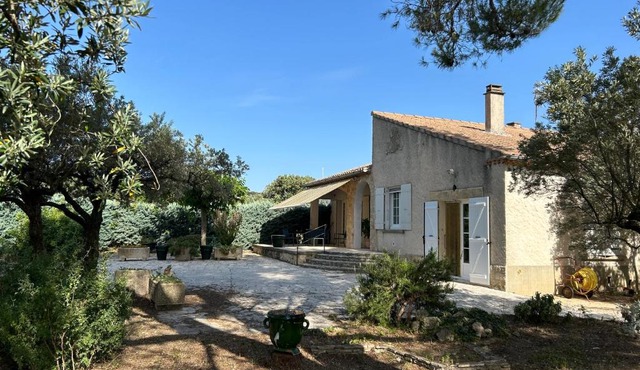Les oliviers du pradon