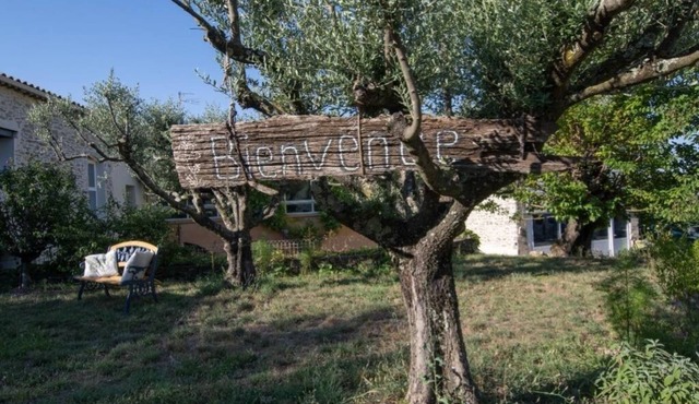 Les Oliviers - Le Chant des Tongs