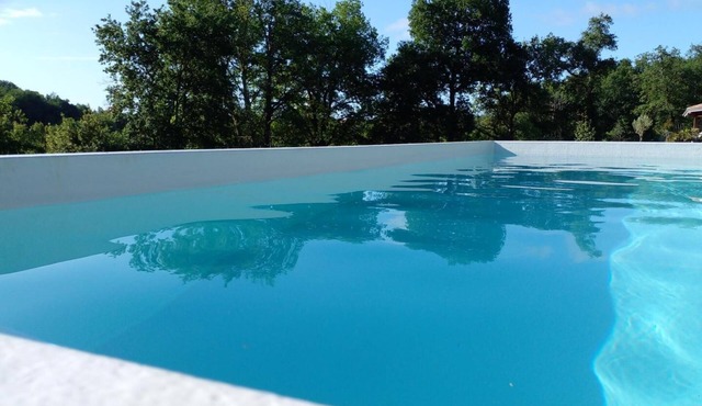 Les Orchidées des Champs