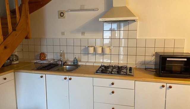 LES Orchidées - Rancennes