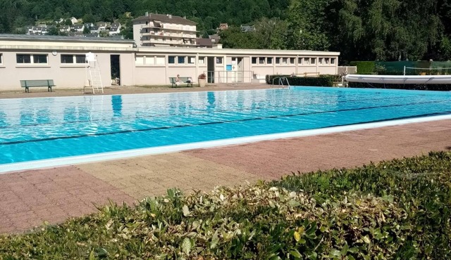 les Pétunias
