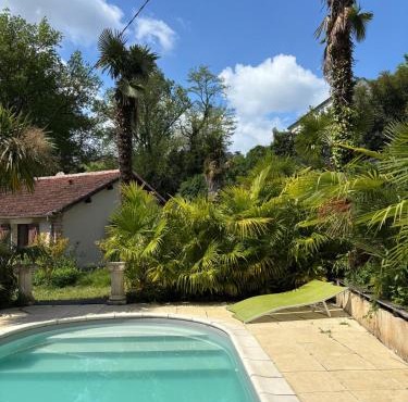 Les palmiers de Valence