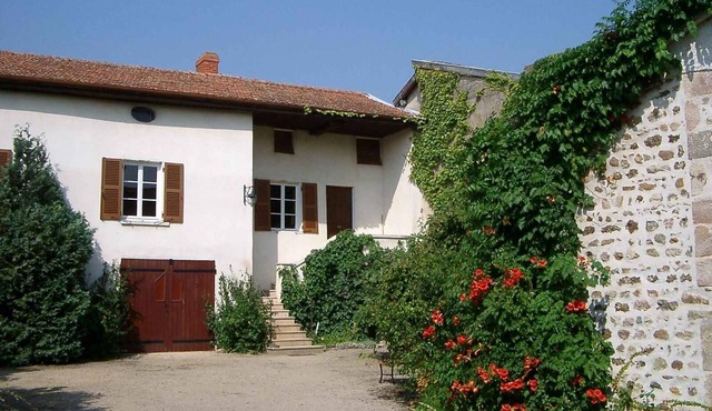 Les Pampres - VILLIE-MORGON