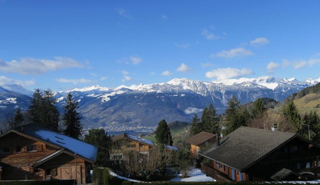 Les Perce-Neige n° 10