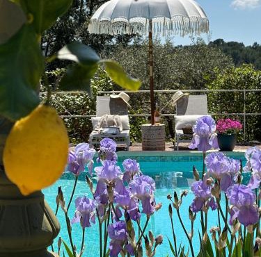 Les Pervenches Cottages - B&B en Lorgues
