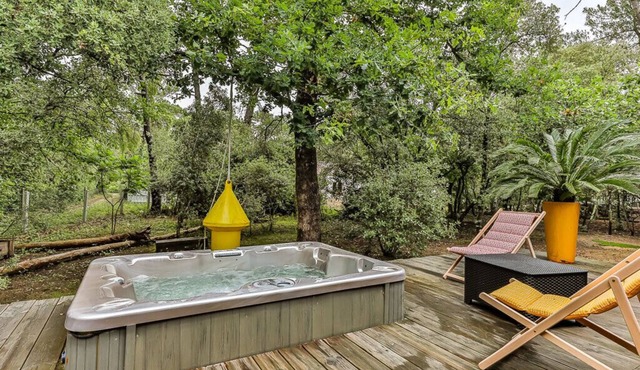 Les Pins - Maison avec piscine & jacuzzi