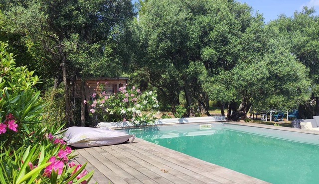 Les Restanques de Barbentane Une Expérience Inoubliable au Coeur de la Provence