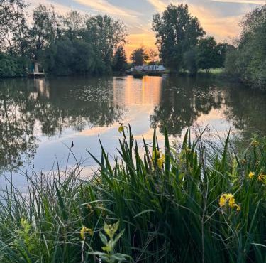 Les Rives De Bel Air - Hébergements - Camping - Caravaning