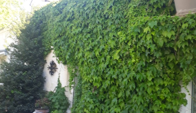 Les Rogelins, cottage