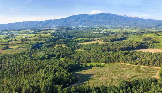Les rois fainéants, the nature lodge