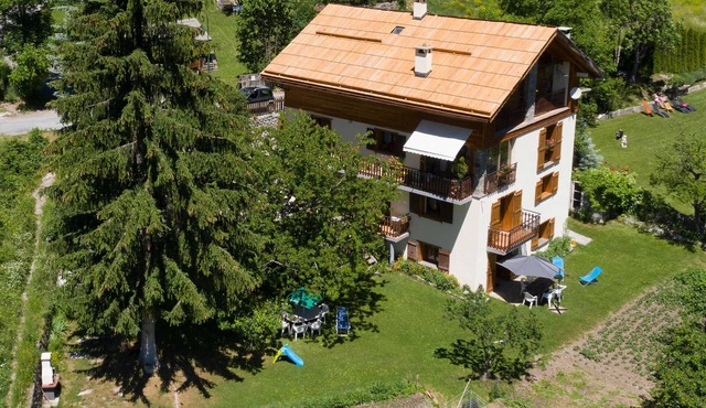 Les Rosiers - SAINT-ETIENNE-DE-TINEE