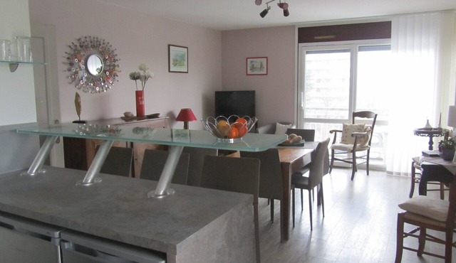 "Les Rousserolles"- Between LAC du BOURGET and CHAMBERY, T 2 (64m2), 3 stars NN