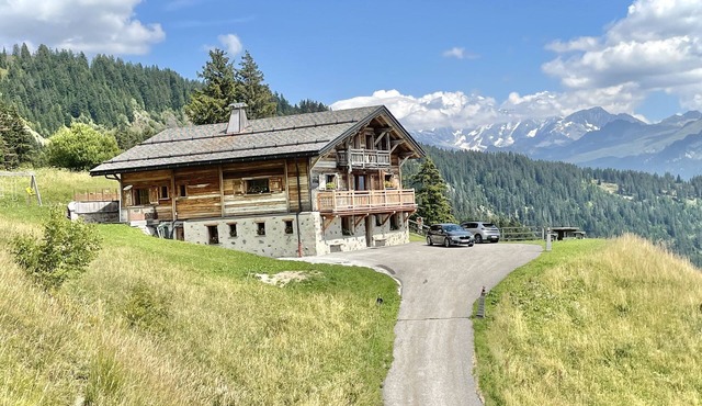 Les Saisies/HIGH STANDING Chalet 15 pers with SPA Fireplace and Mont Blanc view