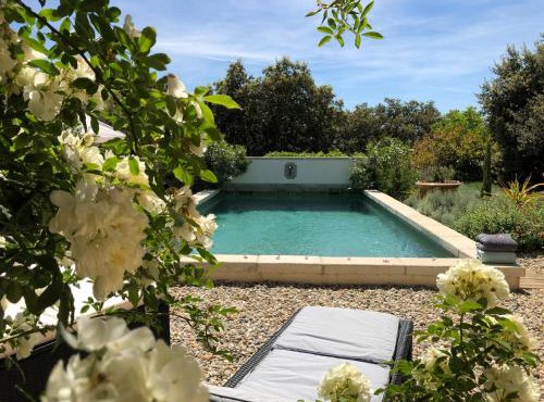 LES SANTOLINES - Studio Retro