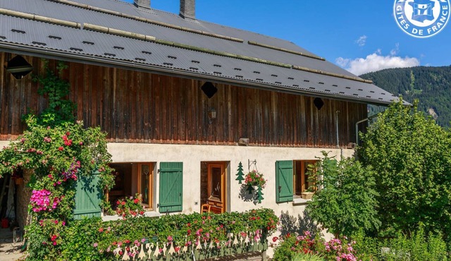 LES SAPINS - UGINE - Gîte