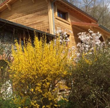 Les Sittelles de Bamboche