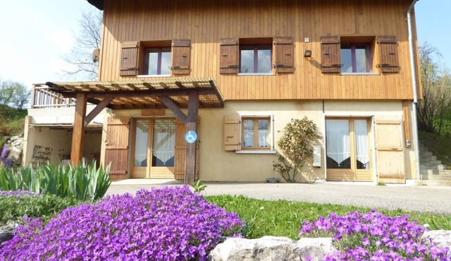 LES SOLDANELLES - CURIENNE